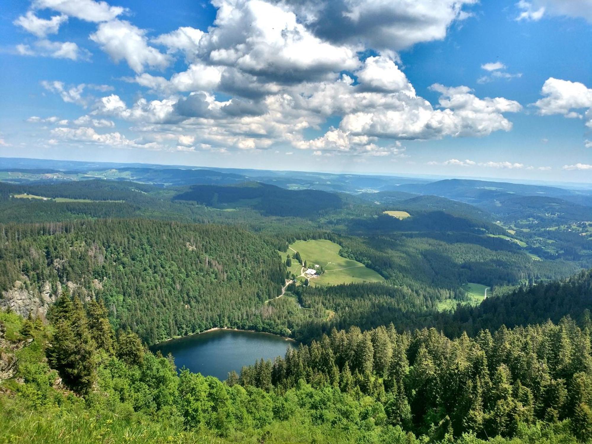 Ferienwohnung Seeblick Nr 2 5-Zimmerwohnung - Feldberg Baerental Rotwasser Zewnętrze zdjęcie