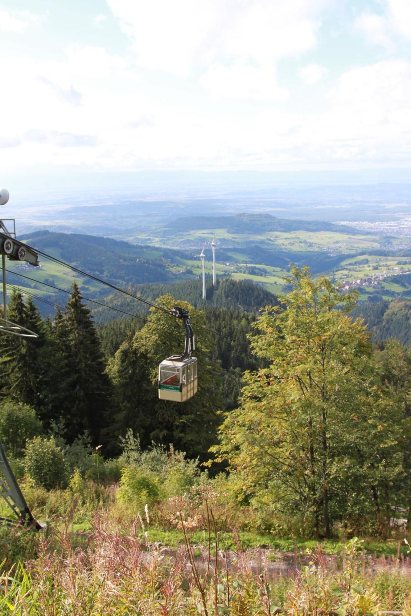 Ferienwohnung Seeblick Nr 2 5-Zimmerwohnung - Feldberg Baerental Rotwasser Zewnętrze zdjęcie