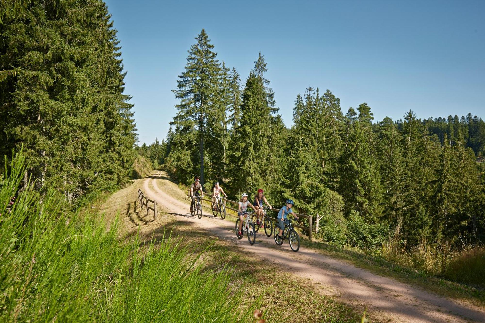 Ferienwohnung Seeblick Nr 2 5-Zimmerwohnung - Feldberg Baerental Rotwasser Zewnętrze zdjęcie