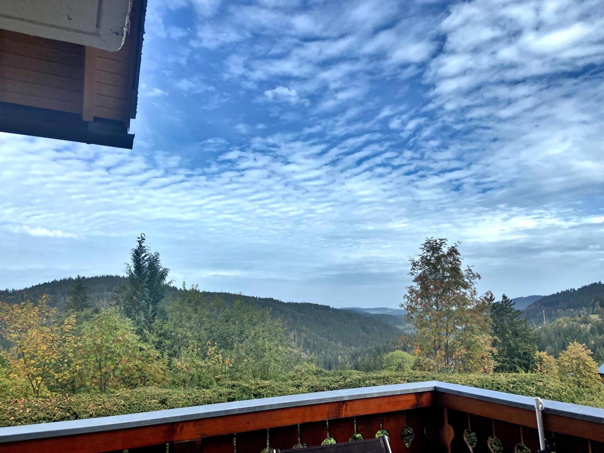 Ferienwohnung Seeblick Nr 2 5-Zimmerwohnung - Feldberg Baerental Rotwasser Zewnętrze zdjęcie